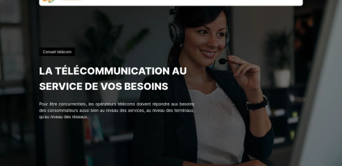 https://www.conseil-telecom.com